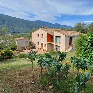 Villa Estudi Ideal En Una Masia à Amer Exterior photo