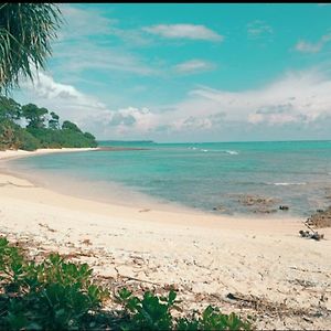 Hotel Mallick Palace Neil Island South Andaman à Ram Nagar Exterior photo