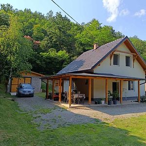 Villa Kuca Za Odmor Kekec Fruska Gora à Beocin Exterior photo