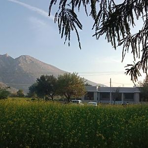 Hotel Sariska Nature Estate à Thana Ghazi Exterior photo