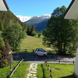 Appartement Chez Umbus, Centrale E Immerso Nel Verde, Grande Terrazzo à Champoluc Exterior photo