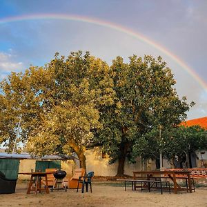 Montijo Garden - Private Rooms Exterior photo