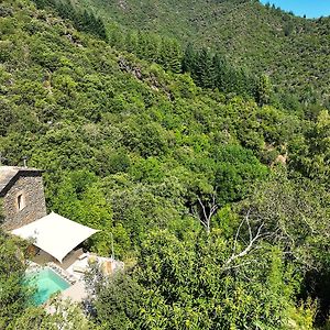 Villa La Clede Avec Sa Piscine Privee à Saumane Exterior photo