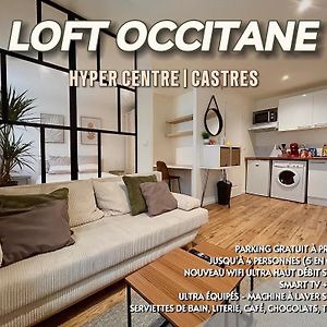 Appartement Loft Occitane Hyper Centre Castres à Castres  Exterior photo