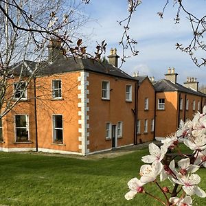 Hotel Clone Country House à Aughrim Exterior photo