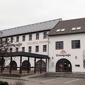 Hotel Cerveny Mlyn à Tisnov Exterior photo