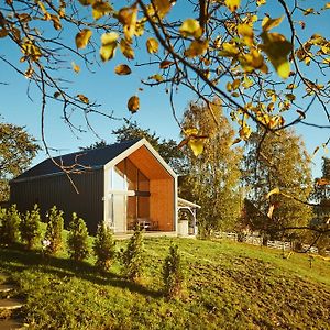 Villa Scandinave Chalet Bran à Zărneşti Exterior photo