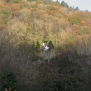 Villa Mellow Mountain Eco Retreat Wales Hot-Tub Sauna à Llansantffraid Llansantffraid Glyn Ceiriog Exterior photo