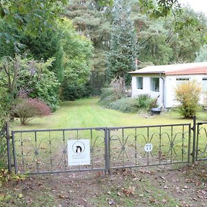 Villa Baumfuchs Ferienbungalow à Wesenberg Exterior photo