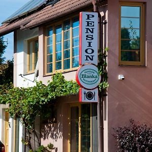 Hotel Penzion Blanka - Znojmo à Nový Šaldorf-Sedlešovice Exterior photo