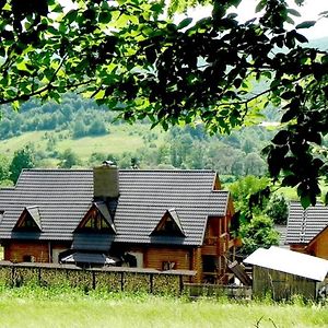 Bed and Breakfast Приватна Садиба Дикий Мед à Ploskoye Exterior photo