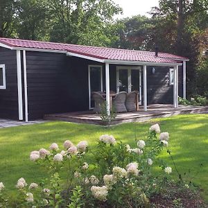 Villa Garden View Chalet With Terrace Or Conservatory Near Amerongse Berg à Elst  Exterior photo