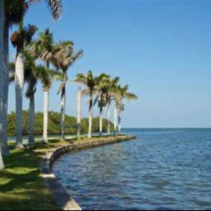 Appartement My Garden In Miami Florida à Palmetto Bay Exterior photo