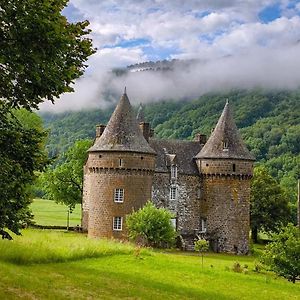 Bed and Breakfast Chateau De Longevergne à Anglards-de-Salers Exterior photo