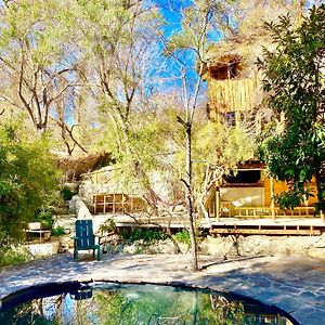 Villa La Casa Entre Los Arboles En El Valle De Elqui Montegrande à Paihuano Exterior photo