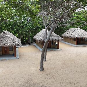 Peanut Farm Surf And Wild Resort - Arugambay Baie d'Arugam Exterior photo