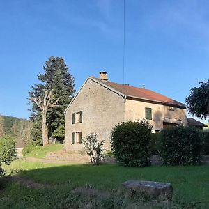 Villa Authentique Fermette Renovee Avec Cheminee Dans Les Vosges - Fr-1-583-3 à La Vaivre Exterior photo