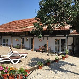 Sunflower Guest House Bulgaria Stefan Stambolovo Exterior photo