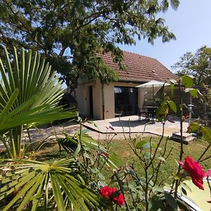 Gîte L'Albizia 3 épis Saint-Maurice-en-Riviere Exterior photo