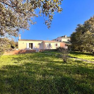 Villa Maison Marina Pietra Avec Jardin à Pietracorbara Exterior photo