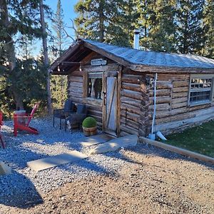 Motel 100 Year Old Log Cabin à Waiporous Village Exterior photo