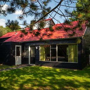 Villa House With Dishwasher, Near The Zuidlaardermeer à Zuidlaren Exterior photo