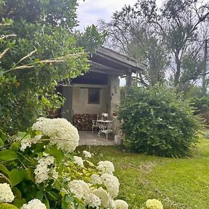 Bed and Breakfast Pedauge à Moncrabeau Exterior photo