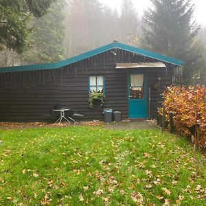 Villa Chalet De Papitou , Situe Dans Un Coin De Paradis à Stavelot Exterior photo