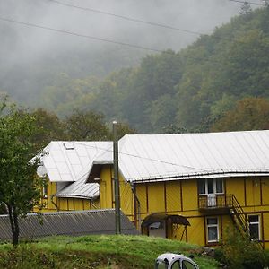 Hotel Дім З Видом На Гори. à Vizhenka Exterior photo