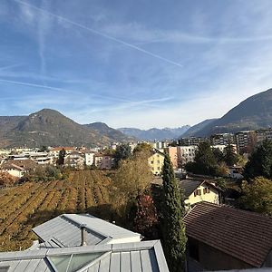 Bed and Breakfast Vista Rosengarten à Bozen Exterior photo