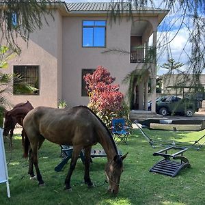 Bed and Breakfast Beyond Explorer Safaris à Arusha Exterior photo