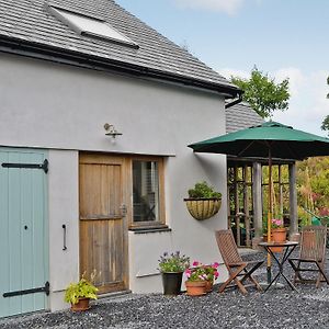 Villa Field View à Cynghordy Exterior photo