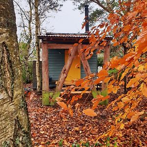 Hotel Delightful Shepherd Hut à Graffham Exterior photo