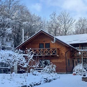 Villa Cabana Luna à Valea Ierii Exterior photo