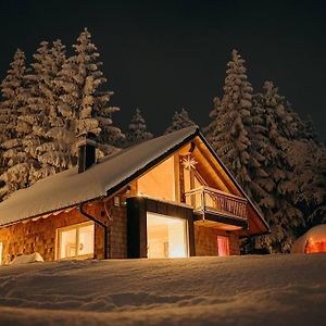 Villa Altenberg - Haus An Der Loipe Exterior photo