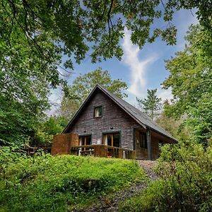 Ellastone, Woodland Lodge With Hot Tub For 8 Oakamoor Exterior photo