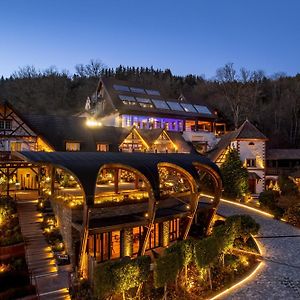 Hostellerie La Cheneaudière&Spa Colroy-la-Roche Exterior photo