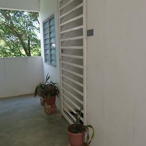 Appartement Pala Place à Tanjung Bungah  Exterior photo