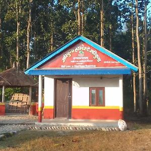 Kharikuna Home Stay Chitwan Exterior photo