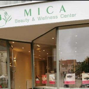 Hotel Mica Beauty Wellness Center à Tamise Exterior photo