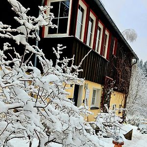 Appartement Marthas Stuebchen à Altenberg  Exterior photo