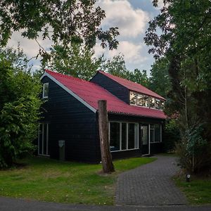 Accessible Home In A Tranquil Wooded Park Zuidlaren Exterior photo