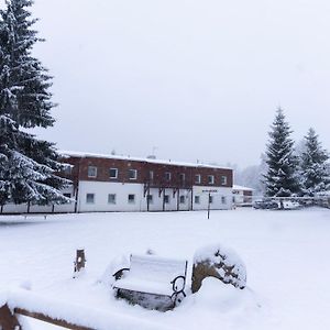 Hotel Penzion Dobik Pasecna à Přední Výtoň Exterior photo