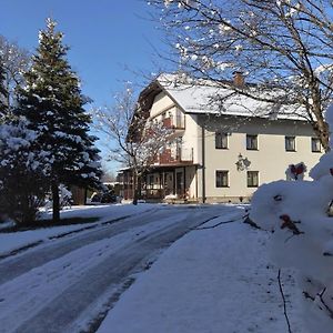 Pension Sommerauer Hallein Exterior photo