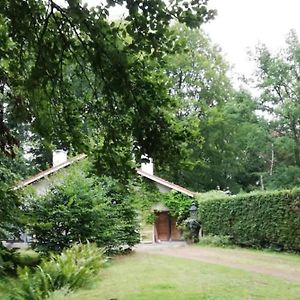 Appartement Studio De Charme Au Coeur De La Foret à Chaumont-Gistoux Exterior photo