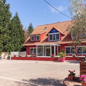 Hôtel Restaurant La Couronne Roppenheim Exterior photo