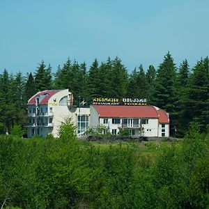 Hotel Tsiskari Ianet'i Exterior photo