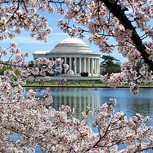 Convenient Studio Apartment In Shepherd Park, Dc Washington Exterior photo