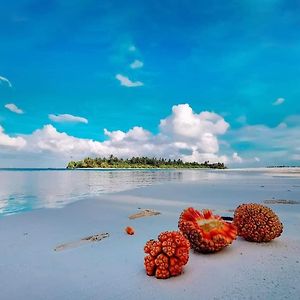 Dive Villa One Ocean Gemanafushi Exterior photo