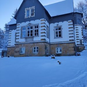 Villa Unger Altenberg  Exterior photo